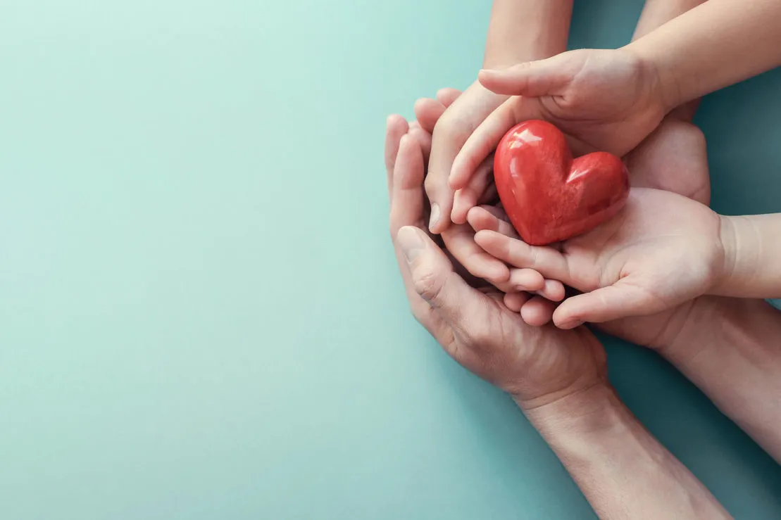 hands holding a heart
