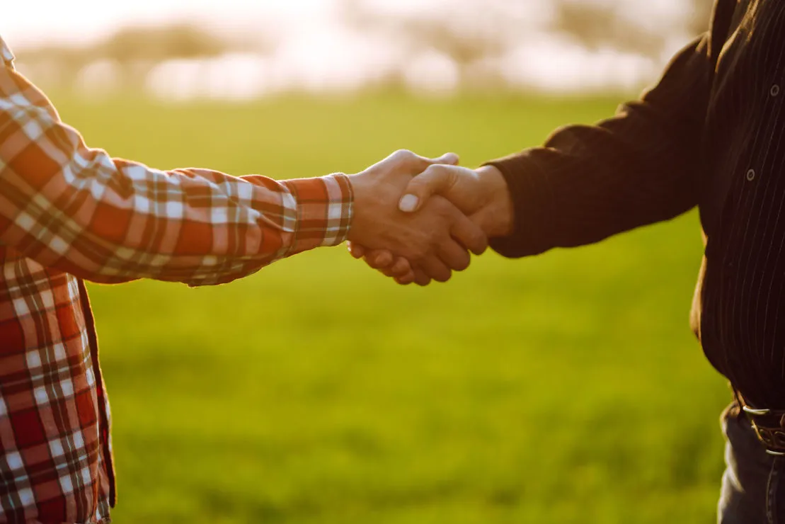 Handshake